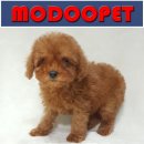 모두와샵 이미지