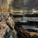 아이월드 | 롯데월드 아쿠아리움 29개월 아이와 내돈내산 후기