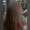뉴스타미용실 - 안동시 | 뉴스타미용실