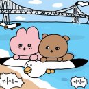 남희상회 | ♡⊹˚₊부산뚠₊˚⊹♡