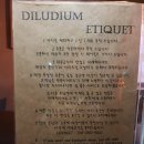 딜루디움 이미지