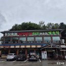 고기앞 | 평창 휘닉스파크 앞 일송정 내돈내산 후기 (고기는 좋아요, 곤드레솥밥은 아쉬웠어요)
