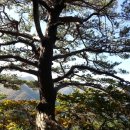 고박사 보청기 이미지