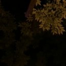 바람길목 이미지