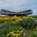 오션스타 휴양콘도미니엄 이미지