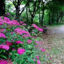 산신제 약수터