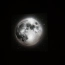 스테이더문 이미지