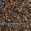 강선생막국수 이미지