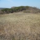 영천리 마을회관 이미지