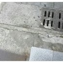 노무내농장 이미지