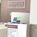 분당밝은아이동물병원