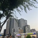 타이어프로 서귀포점 | 제주 숙소 후기 호텔 골든데이지 서귀포 오션 | 어메니티 및 내부 시설 조식 | 인근 먹거리