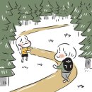 이가의안클린 네이버블로그