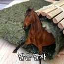 배민야채