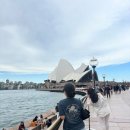 화진마트 앤 물류 | 🇦🇺시드니) 내돈내산 호주 쇼핑리스트와 소비템 후기