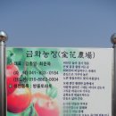 당호농장 네이버블로그