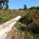 경기목장 이미지