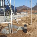 효원농장 이미지