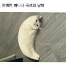 야밤 이미지