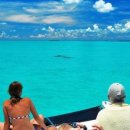 키웨스트 커피 이미지