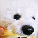 올데이멍 이미지