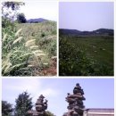 군남배수펌프장 이미지