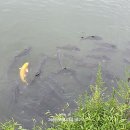 계정횟집 이미지