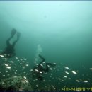 호승잠수