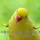 구르미 그린 달빛 일본 반응.twt (팬들맘 다 똑같..☆) 이미지