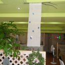 꿈꾸는 숲 이미지