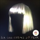 시아(SIA+) | 시아(SIA )