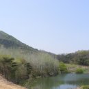 소월1리 이미지