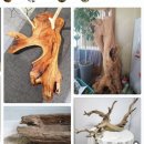 임무영치과의원 | 완전매복사랑니와의 이별 브이로그 (대구치과추천,꿀팁)