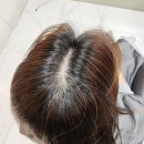 분당 정자동 정자역미용실 제니스헤어살롱 아라 부원장 뿌리 염색 후기