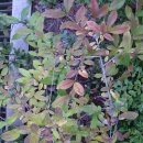 예일여자고등학교 이미지