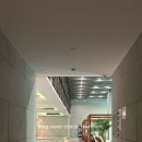 오아시스온 | 상하이 숙소 추천｜반얀트리 상하이 온 더 번드 파노라마 오아시스 로맨틱 풀 내돈내산 후기