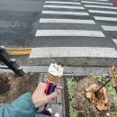 톱노래방 | 밀린 일상블로그 전부다쓰는날: 오늘