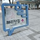 금송김밥 | 부산 원주 기차여행 1박2일 : 이재모피자 희와제과 해운대 동백섬