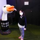 라크라센타(1) 이미지