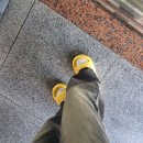 이제심혈을다하는내과의원 | 안산 이제심혈을다하는내과의원 방문기 1 - 심장에서 느껴지는 기분나쁜 흉통