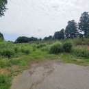 성읍1리사무소 이미지