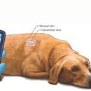 에스동물병원 이미지