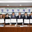 치유의숲 이미지