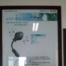 (주)블루엠시 Daum카페