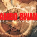 Jambo Bwana / Them Mushrooms 이미지