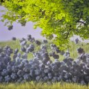 목포문학관 이미지