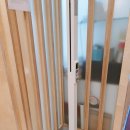 양정안소아청소년과의원 이미지