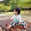 찬스아이수영장 상동분원 | [공지] 아이와 가볼만한 곳 총정리, 쑥쑥이와 함께했던 여행 &amp;나들이 기록