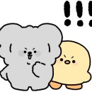 마티나로스팅커피머신 네이버블로그