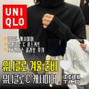 덴테크 | 얀 가디건,100% 캐시미어, 유니클로 JW앤더슨 스웨터, 유니클로C랩스커트,블록테크파카, 유니클로바람막이